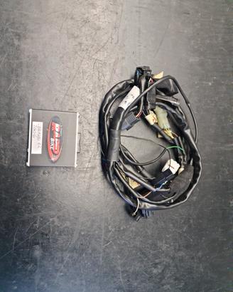 Rapid Bike CBR 1000 RR 2004/2006