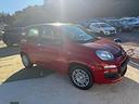 fiat-panda-1-0-firefly-s-s-hybrid-icon