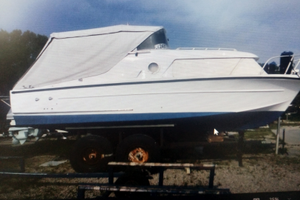 Barca a motore Bora C 2