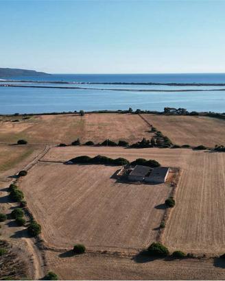 Stalla di 500 mq con 1 ettaro di terreno a pochi m