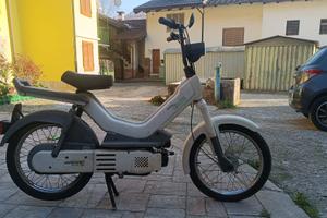MOTORINO ATALA GREEN