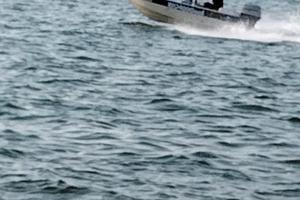 barca motore carrello