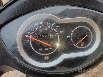 Peugeot Twiter 50