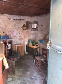 Castel San Pietro Romano Cantina