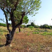 Terreno Edificabile - Melilli