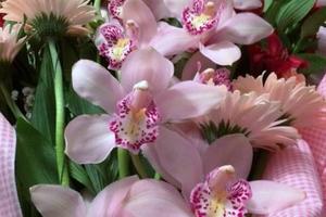 Fioraio, attività in cessione senza muri