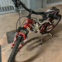 Bicicletta bambino