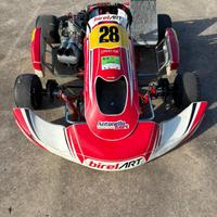 Birel s14 motore tm kz10c