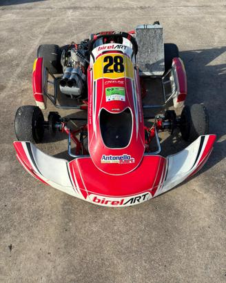 Birel s14 motore tm kz10c