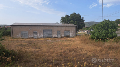 Affitto capannone industriale