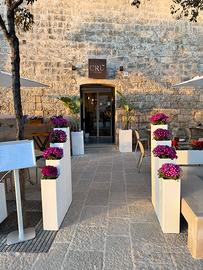 Attività ristorativa a Polignano a mare