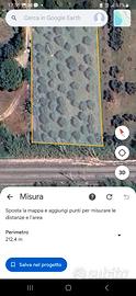 Terreno con ulivi e pozzo