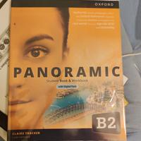 Panoramic B2