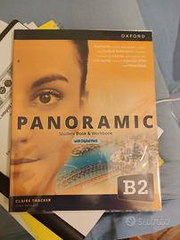 Panoramic B2