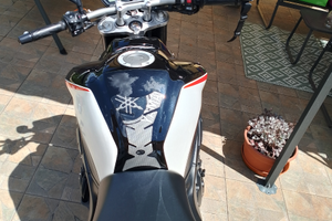 Splendida Yamaha FZ1 con livrea sportiva