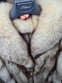 Pelliccia Volpe della Groenlandia, bellissim e co