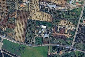 Capannone industriale abitazione, depositi, uffici