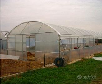 serra in acciaio 4 x 16 mt