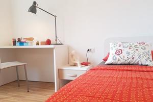 Stanza singola in centro storico da agosto