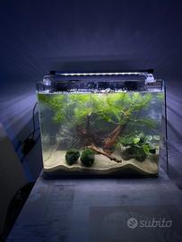 Acquario completo nuovo
