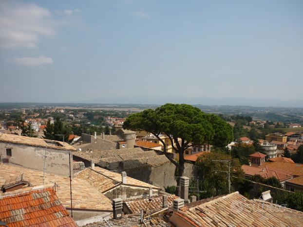 Palazzetto cielo-terra, Montefiascone