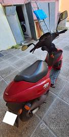 benelli 491 sport