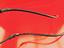 Immagine 24