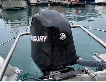 Motore fuoribordo Mercury 115 EFI XL