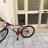Bici Mountain Bike Scott anni 90