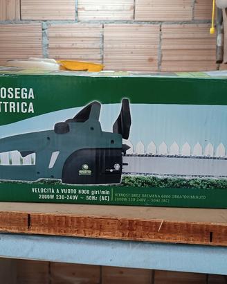 MOTOSEGA ELETTRICA