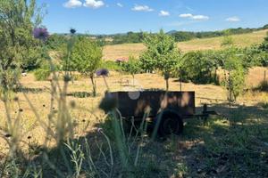 TER. AGRICOLO A ANGUILLARA SABAZIA