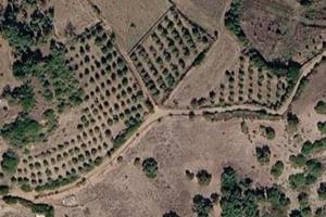 Terreno edificabile con uliveto