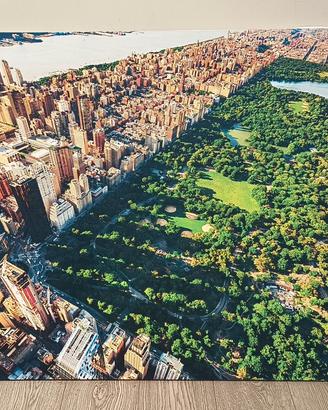 Quadro Central Park/ Mongolfiera