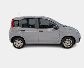 FIAT PANDA 1.2 69cv E6d-Temp Easy 5 PORTE