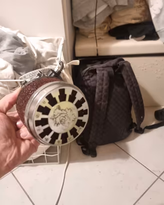  carburatore 19 dell orto e filtro malossi