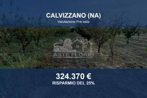 Immobile in asta di 19223 m² a Villaricca