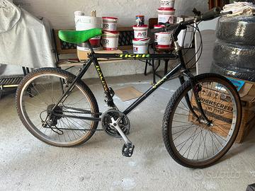 Bicicletta Benotto