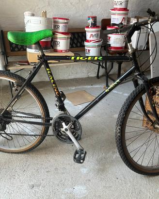 Bicicletta Benotto