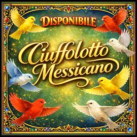 Ciuffolotto Messicano