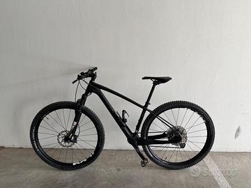 mountainbike in carbonio - whistle