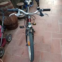 bici da bambina