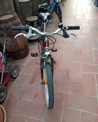 bici da bambina