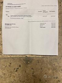 Indicatori direzione dx sx mini r50-53