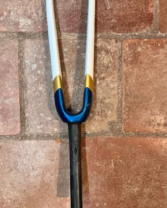 Forcella carbonio Colnago C68 HRWP