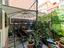 Immagine 28