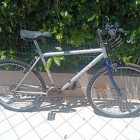 Bicicletta Mountain Bike