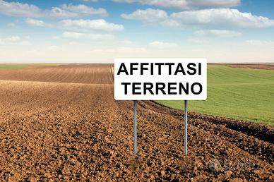 Disponibilità Terreni agricoli