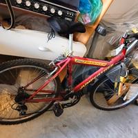 Mountabike funzionante 