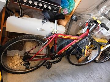 Mountabike funzionante 
