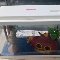 Piccolo acquario